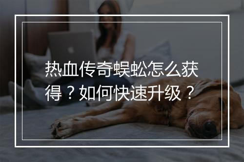 热血传奇蜈蚣怎么获得？如何快速升级？
