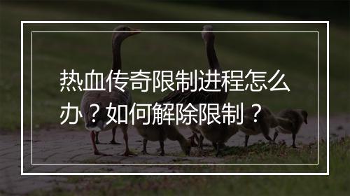 热血传奇限制进程怎么办？如何解除限制？