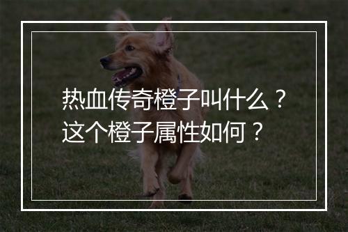 热血传奇橙子叫什么？这个橙子属性如何？