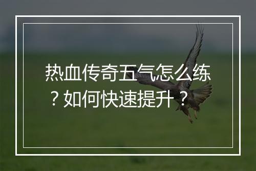 热血传奇五气怎么练？如何快速提升？