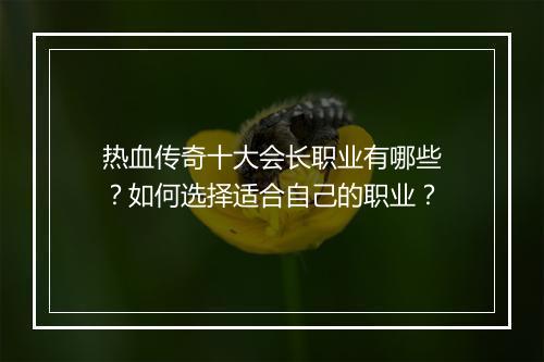 热血传奇十大会长职业有哪些？如何选择适合自己的职业？