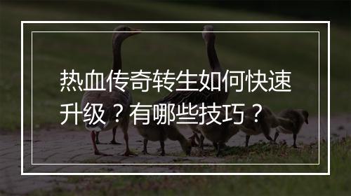 热血传奇转生如何快速升级？有哪些技巧？