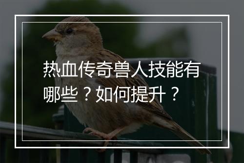 热血传奇兽人技能有哪些？如何提升？