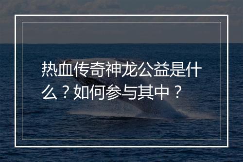 热血传奇神龙公益是什么？如何参与其中？