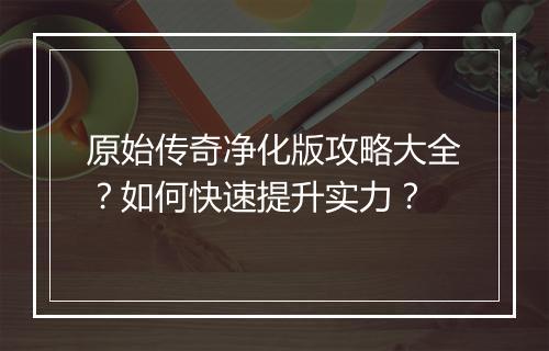 原始传奇净化版攻略大全？如何快速提升实力？