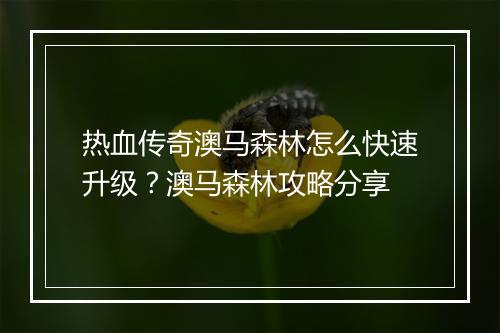 热血传奇澳马森林怎么快速升级？澳马森林攻略分享