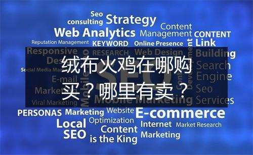 绒布火鸡在哪购买？哪里有卖？