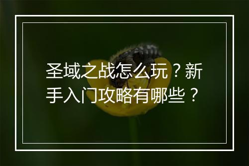 圣域之战怎么玩？新手入门攻略有哪些？