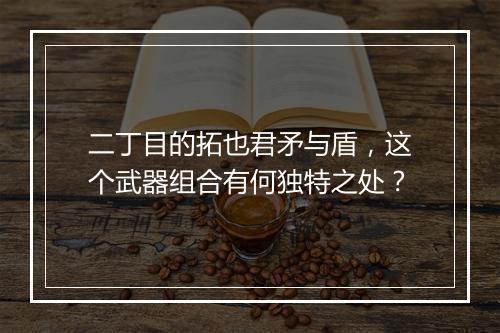 二丁目的拓也君矛与盾，这个武器组合有何独特之处？