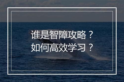 谁是智障攻略？如何高效学习？