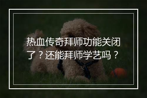 热血传奇拜师功能关闭了？还能拜师学艺吗？