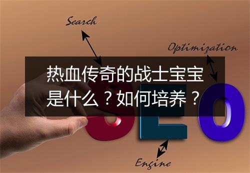 热血传奇的战士宝宝是什么？如何培养？