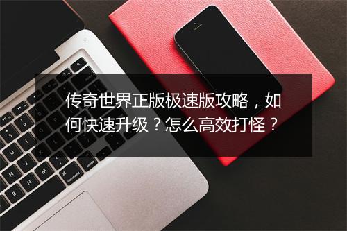 传奇世界正版极速版攻略，如何快速升级？怎么高效打怪？