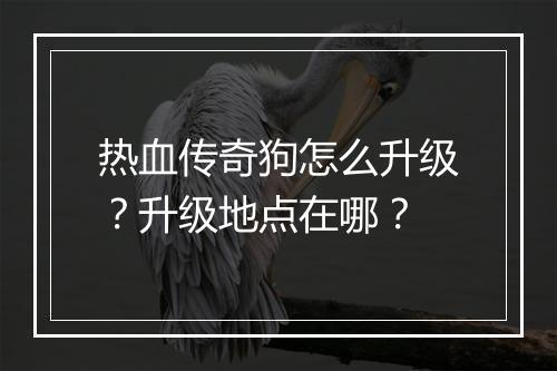 热血传奇狗怎么升级？升级地点在哪？