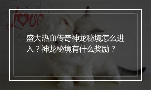 盛大热血传奇神龙秘境怎么进入？神龙秘境有什么奖励？