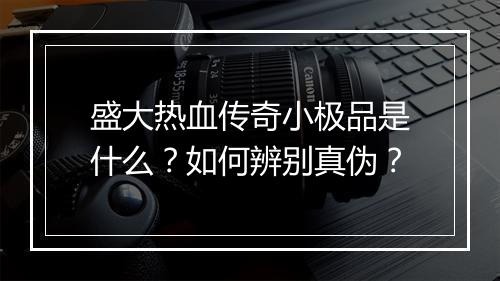 盛大热血传奇小极品是什么？如何辨别真伪？