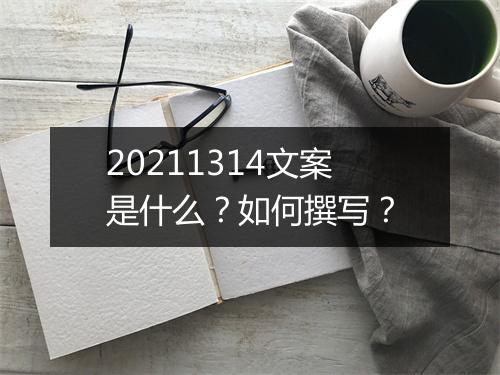 20211314文案是什么？如何撰写？