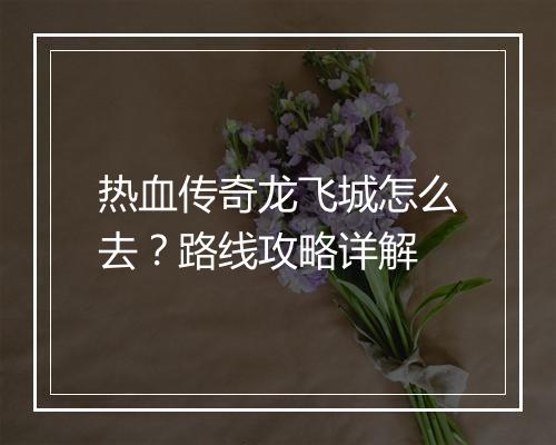 热血传奇龙飞城怎么去？路线攻略详解