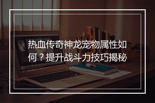 热血传奇神龙宠物属性如何？提升战斗力技巧揭秘