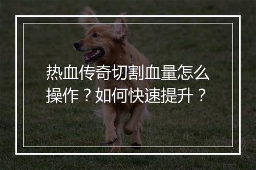 热血传奇切割血量怎么操作？如何快速提升？