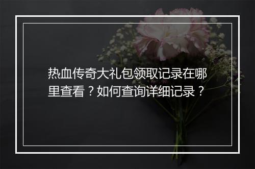 热血传奇大礼包领取记录在哪里查看？如何查询详细记录？