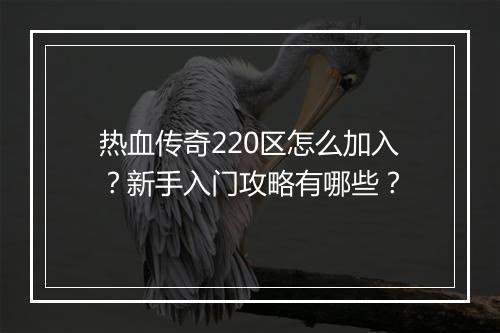 热血传奇220区怎么加入？新手入门攻略有哪些？