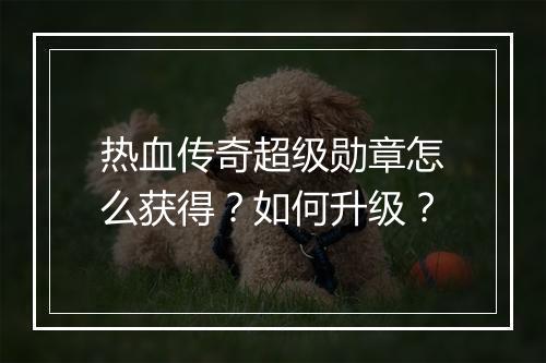 热血传奇超级勋章怎么获得？如何升级？