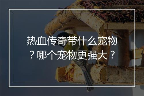热血传奇带什么宠物？哪个宠物更强大？