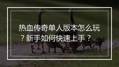 热血传奇单人版本怎么玩？新手如何快速上手？