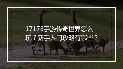 17173手游传奇世界怎么玩？新手入门攻略有哪些？
