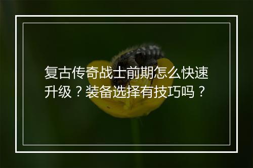复古传奇战士前期怎么快速升级？装备选择有技巧吗？