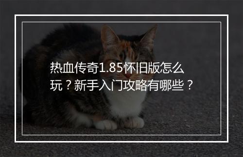 热血传奇1.85怀旧版怎么玩？新手入门攻略有哪些？
