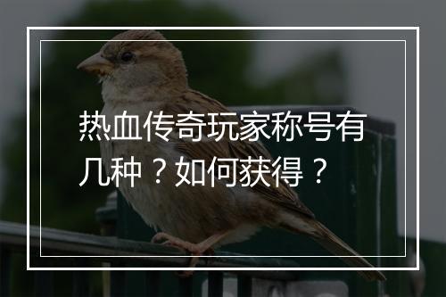 热血传奇玩家称号有几种？如何获得？