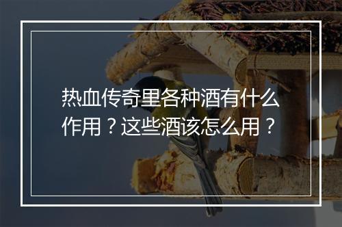 热血传奇里各种酒有什么作用？这些酒该怎么用？