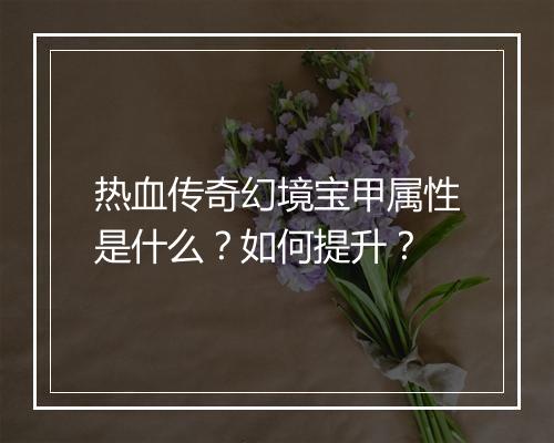 热血传奇幻境宝甲属性是什么？如何提升？