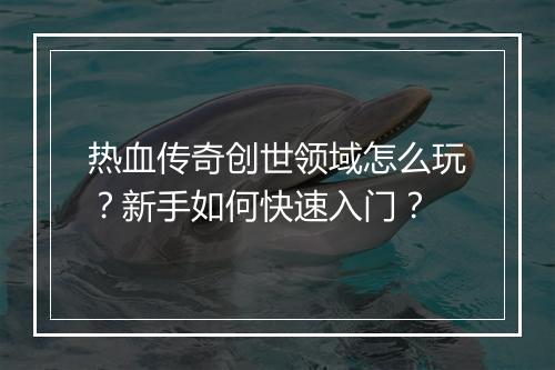 热血传奇创世领域怎么玩？新手如何快速入门？