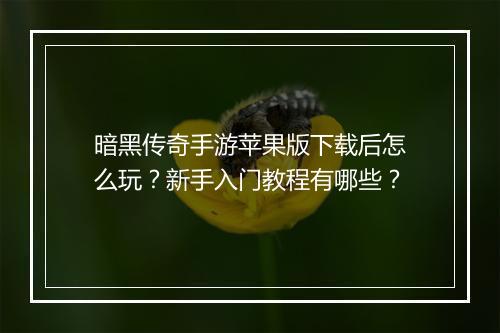 暗黑传奇手游苹果版下载后怎么玩？新手入门教程有哪些？
