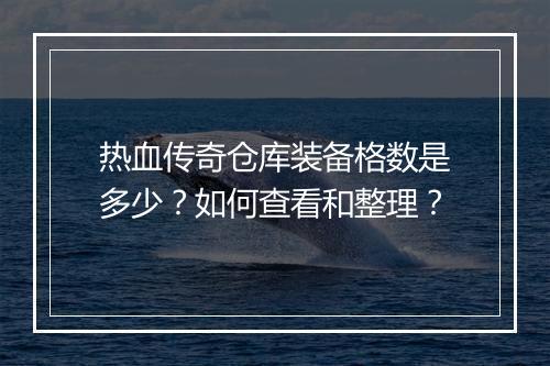 热血传奇仓库装备格数是多少？如何查看和整理？