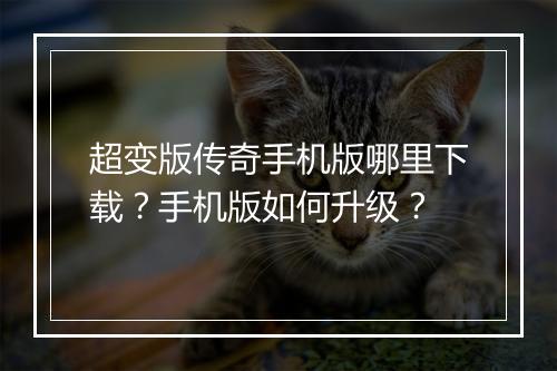 超变版传奇手机版哪里下载？手机版如何升级？