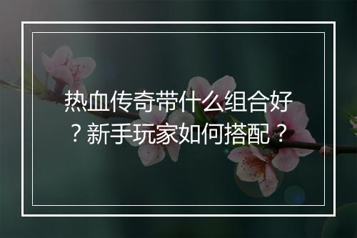 热血传奇带什么组合好？新手玩家如何搭配？