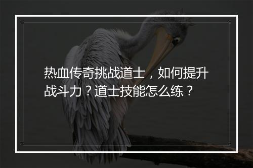 热血传奇挑战道士，如何提升战斗力？道士技能怎么练？