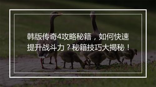 韩版传奇4攻略秘籍，如何快速提升战斗力？秘籍技巧大揭秘！