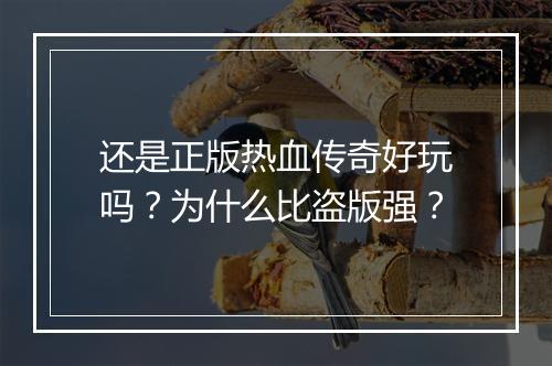 还是正版热血传奇好玩吗？为什么比盗版强？
