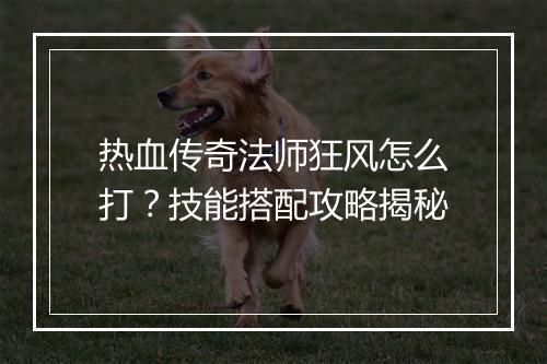 热血传奇法师狂风怎么打？技能搭配攻略揭秘