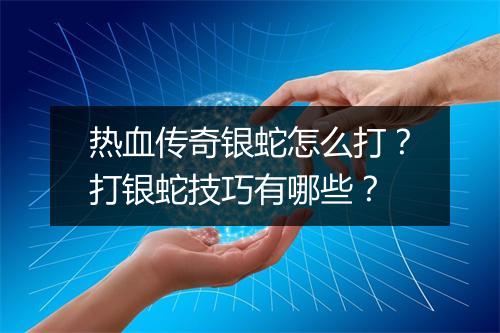 热血传奇银蛇怎么打？打银蛇技巧有哪些？