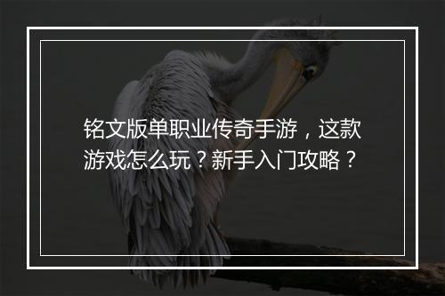 铭文版单职业传奇手游，这款游戏怎么玩？新手入门攻略？