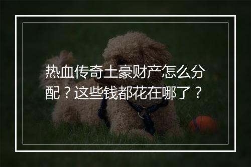 热血传奇土豪财产怎么分配？这些钱都花在哪了？