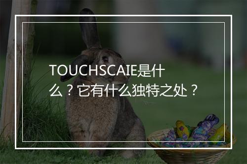TOUCHSCAIE是什么？它有什么独特之处？