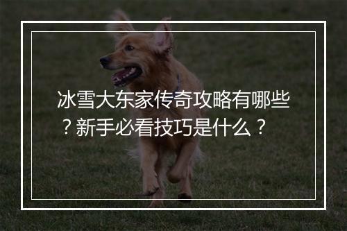 冰雪大东家传奇攻略有哪些？新手必看技巧是什么？