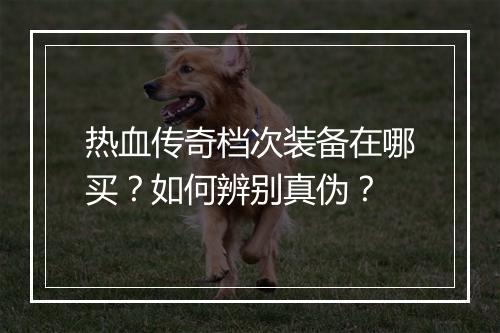 热血传奇档次装备在哪买？如何辨别真伪？